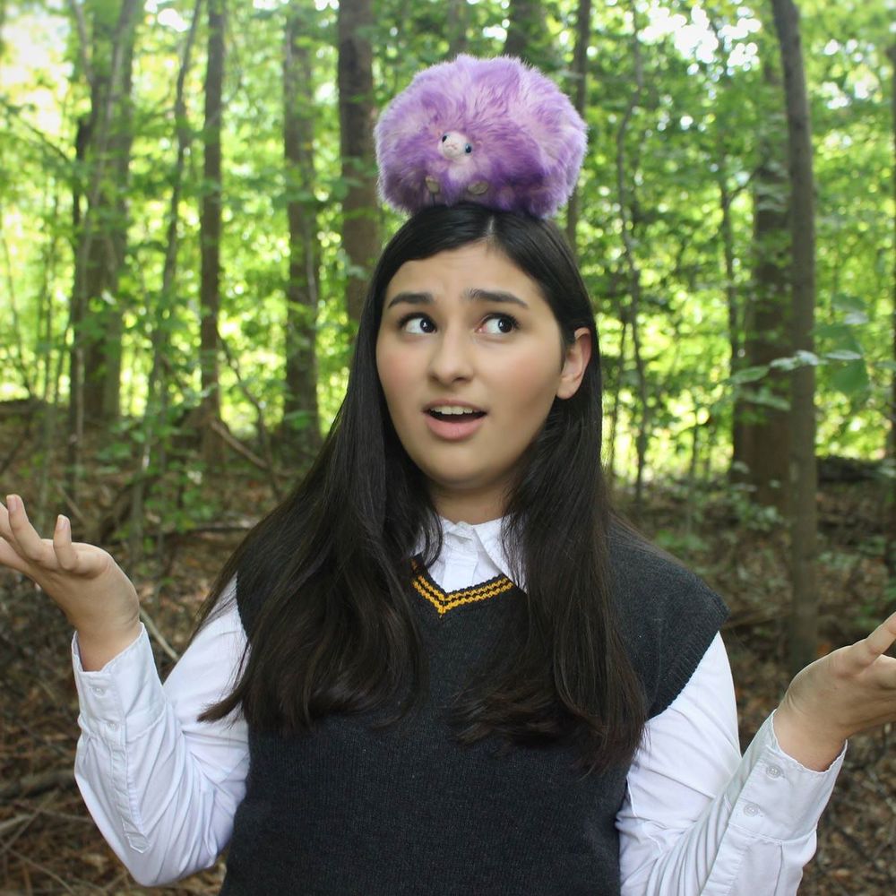 Meet your Posher, Dee